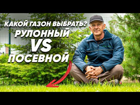 Видео: РУЛОННЫЙ или ПОСЕВНОЙ ГАЗОН? Какой Газон Выбрать?