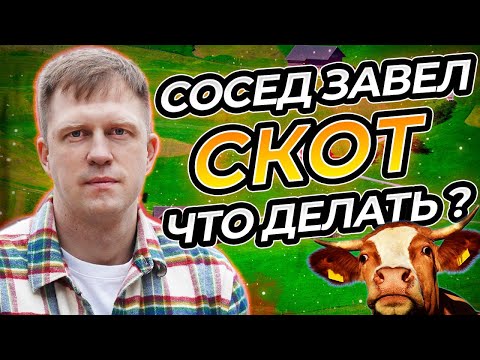 Видео: ЧТО ДЕЛАТЬ ЕСЛИ СОСЕД ЗАВЕЛ СКОТ НА УЧАСТКЕ ДЛЯ ЖИЛОГО СТРОИТЕЛЬСТВА?