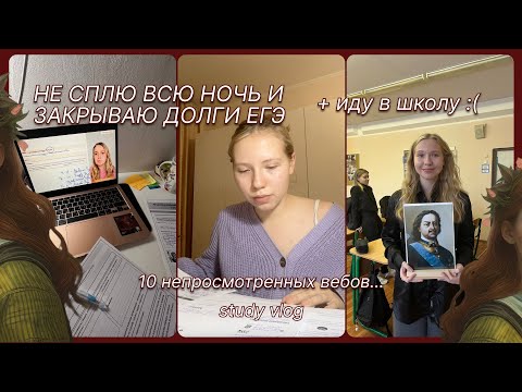 Видео: Ботаю всю ночь ЕГЭ перед школой :(  подготовка к егэ по истории и обществу 2025, study vlog