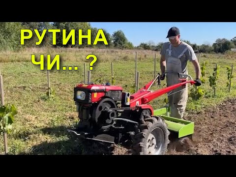 Видео: Что делать в селе, если не знаешь, чем заняться?