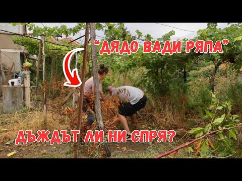 Видео: ПЪРВИ СТЪПКИ КЪМ ЖИВОТ НА СЕЛО | Дъждът ли ни спря? | Кандидат селяни