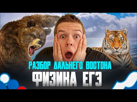 Видео: Разбор Дальнего Востока ЕГЭ по физике | физика ЕГЭ 2024 Глеб Орел
