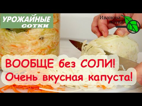 Видео: РАСКРЫТ СЕКРЕТ полезной КАПУСТЫ! Отлично подходит и гипертоникам, и диабетикам!