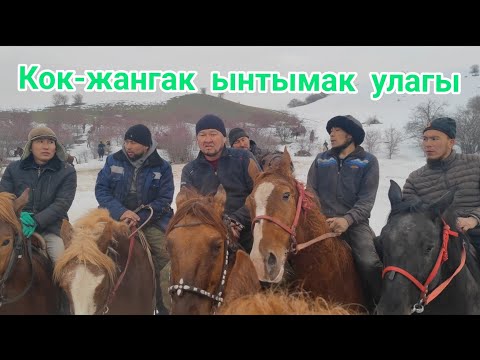 Видео: Кок-жангак ынтымак улагы