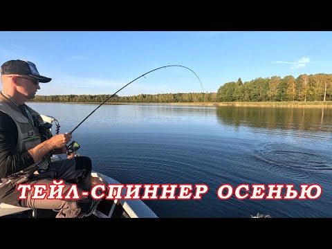 Видео: ТЕЙЛ СПИННЕР ОСЕНЬЮ! Просто нужно изменить проводку! Рыбалка на щуку и окуня осенью!