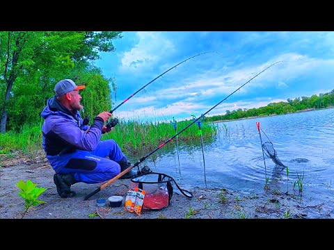 Видео: ДУШЕВНА ЛОВЛЯ КАРАСЯ ФІДЕРОМ НА ДНІПРІ