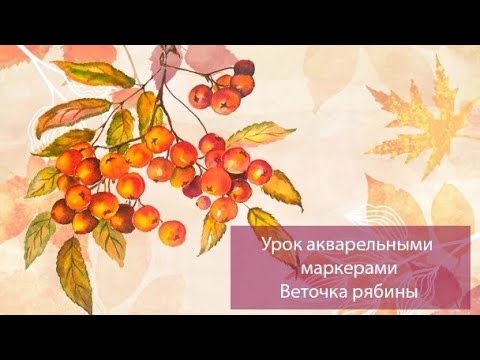 Видео: Урок акварельными маркерами "Веточка рябины"