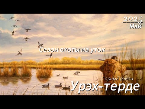 Видео: Сезон охоты на уток 2025. Якутия