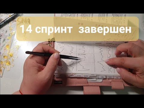 Видео: роль графиков в спринте, обзор  14 спринта, мой ежедневник kinbor, my planner