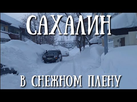 Видео: Сахалин -  снежный коллапс в 2025 году #сахалин #зима #природа #метель