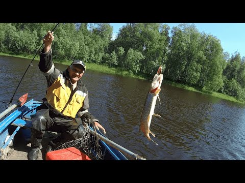 Видео: Рыбалка на спининг река Аган ХМАО.