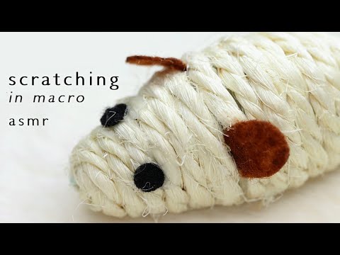 Видео: АСМР Царапаю текстурные предметы в макро 2 (БЕЗ СЛОВ)