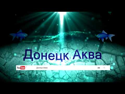 Видео: советы как разводить голубой неон, аквариумные рыбки