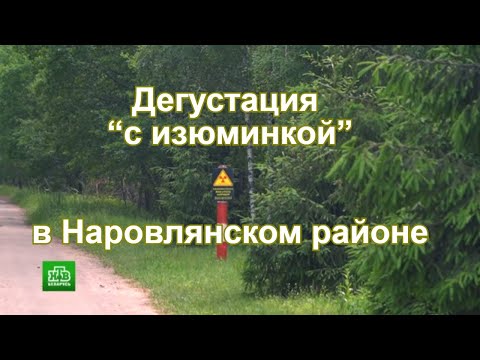 Видео: Дегустация “с изюминкой” в Наровлянском районе