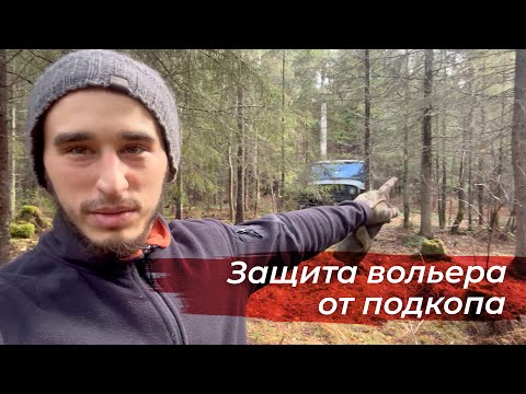 Видео: Лужи в пол метра глубиной! Продолжаю строить вольер вОрону Гоше