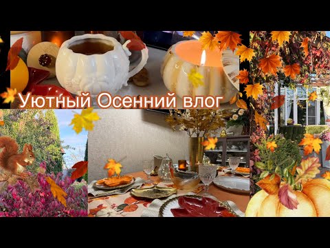Видео: Уютный Осенний влог 🍂