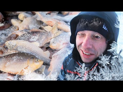 Видео: КАРАСЬ В МОРОЗ -22 на ЖЕРЛИЦЫ! Метода от ДЕДА в Снасти Здрасьте!