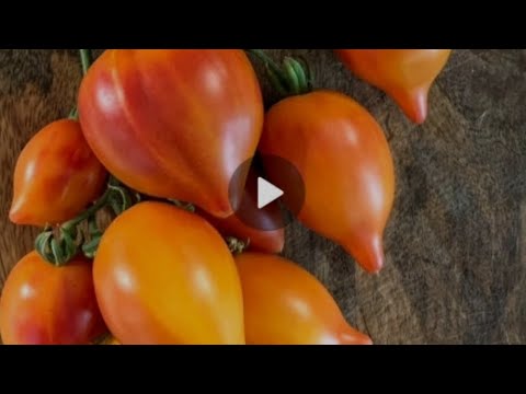 Видео: Новинки на 2024 год.