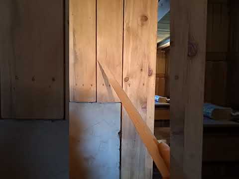 Видео: Мох в качестве утеплителя.