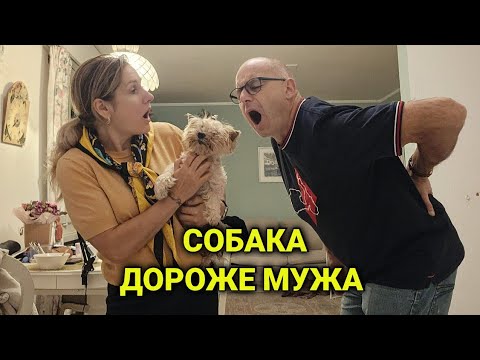 Видео: Как вылечить спину| важность физиотерапии| массаж не панацея 