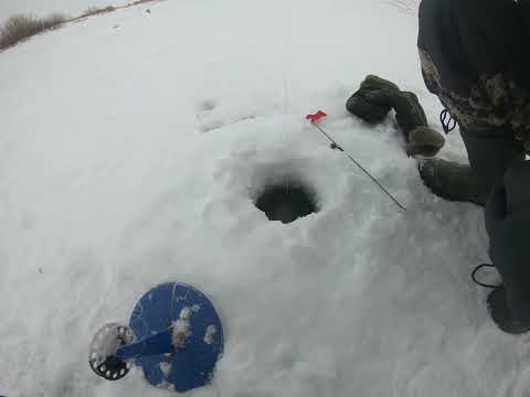 Видео: Щука на живца#fishing#рыбалка#зима