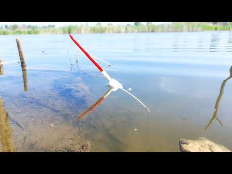 Видео: ЛОВЛЯ КАРАСЯ НА ПОПЛАВОЧНУЮ УДОЧКУ .После нереста  #рыбалка #ловлякарася #напоплавок