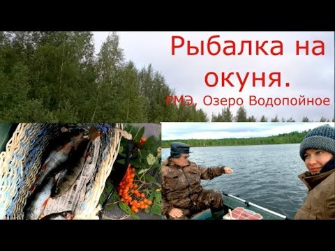 Видео: 421. Рыбалка на окуня, катаемся на лодке. Оз. Водопойное. 29.07.2019. ЗоЛиКс