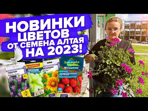 Видео: НОВИНКИ ЦВЕТОВ 2023 от #СеменаАлтая: ПЕТУНИЯ, ЛАВАНДА, ЗЕМЛЯНИКА, ЛЬВИНЫЙ ЗЕВ