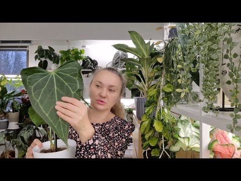 Видео: 🍀Обзор новинок 🍀