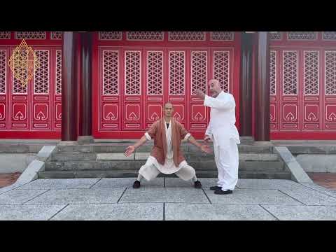 Видео: Обязательно иметь коллекцию!! Грандмастер Цзян Юй Шань и Шаолиньский мастер Ши Хэн И