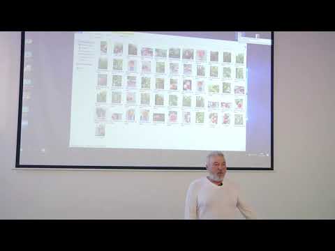 Видео: Рекомендованные сорта фруктовых деревьев для Приморского края (часть 3)