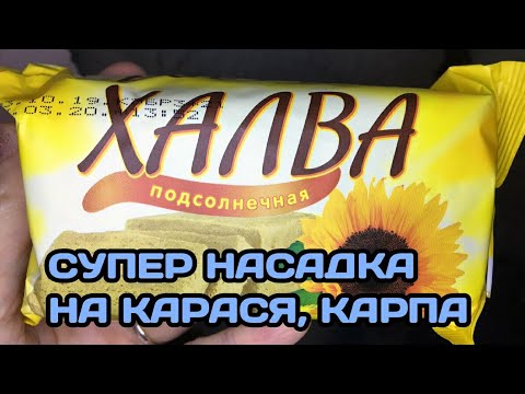 Видео: ТЕСТО ДЛЯ РЫБАЛКИ ИЗ ХАЛВЫ. ЛУЧШЕЕ ТЕСТО НА КАРАСЯ, КАРПА, БЕЛОГО АМУРА
