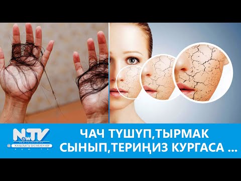 Видео: NewTV// ЧАЧ ТҮШҮП,ТЫРМАК СЫНЫП,ТЕРИҢИЗ КУРГАСА ... // ДАБАГЕР