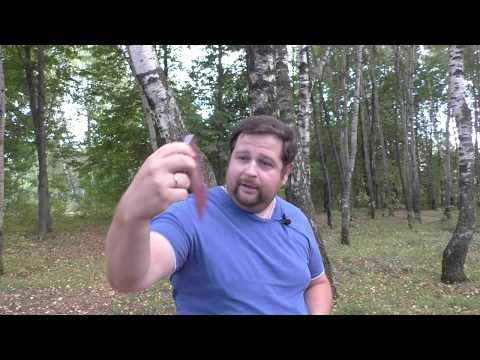 Видео: Что ждет мужчин в будущем