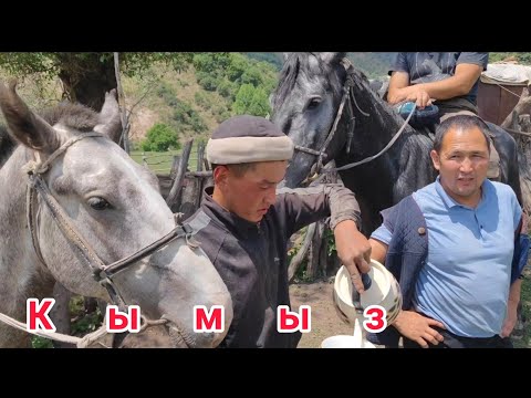 Видео: Кымыз