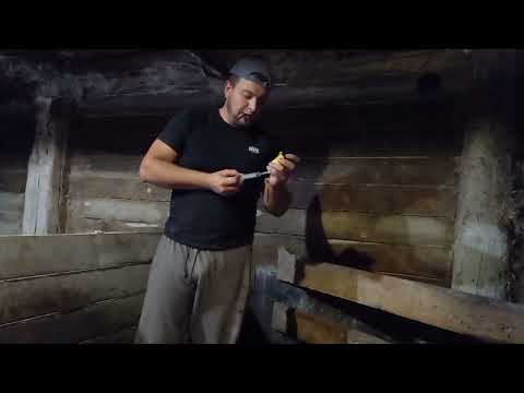 Видео: ❗## Какие витамины ставлю  Свиноматкам и поросятам при отъеме, купил пять тонн пшеницы # # ❗