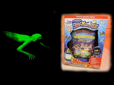 Видео: СВЕТИТСЯ В ТЕМНОТЕ Морские Обезьянки Выросли из икринок Sea Monkeys