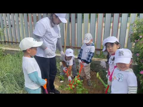 Видео: “Қазақшаң қалай, балақай?” байқауы