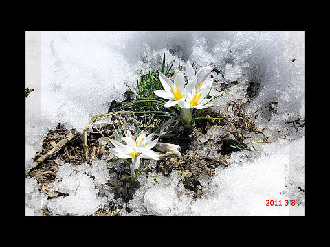 Видео: Ванновка