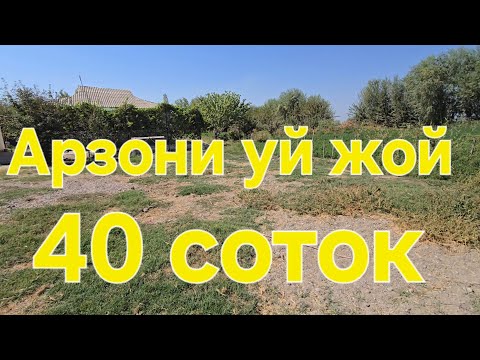 Видео: ТОШКЕНТ ВИЛОЯТИ БУКА ТУМ 40 СОТОК УЙ СОТИЛАДИ 