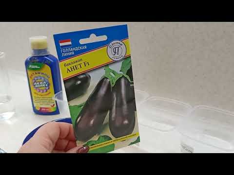 Видео: Тонкости предпосевного замачивания семян баклажанов.02.02.2022