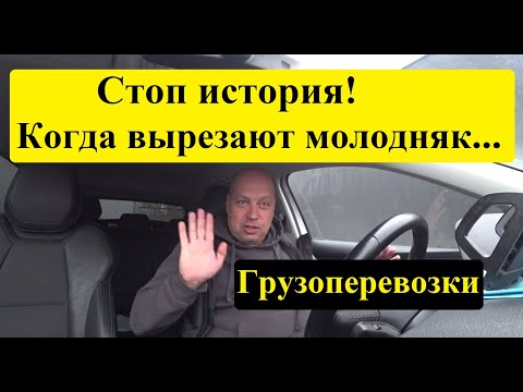 Видео: Стоп история с 2026 года! Когда вырезают молодняк в Грузоперевозках...#грузоперевозки #дальнобой