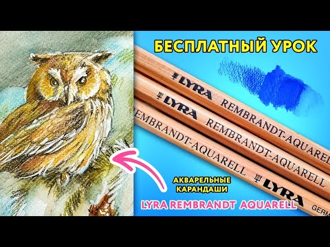 Видео: Рисуем сову акварельными карандашами.
