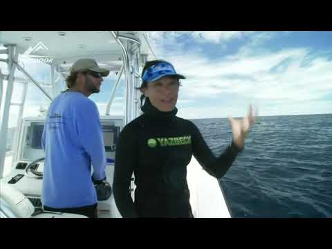 Видео: Panama подводная охота