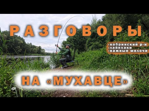 Видео: Разговоры на "Мухавце"