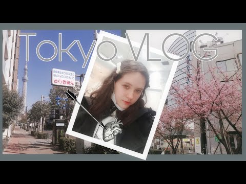 Видео: TOKYO VLOG // Рок концерт, узкие улочки, Хараджюку и храмы \\ Мои приключения в Японии