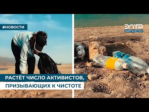 Видео: РАСТЁТ ЧИСЛО АКТИВИСТОВ, ПРИЗЫВАЮЩИХ К ЧИСТОТЕ