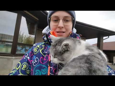 Видео: VLOG Опять Ракетные опасности!⚠️ Мороз❄️