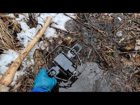 Видео: Этот 5-минутный набор создаёт бесчисленное количество крупных бобров! (Курган Кастор)