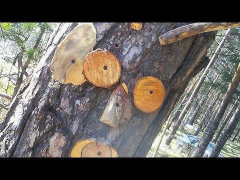 Видео: ОПАСНОСТИ отдыха в палатке на Чёрном море. Рассказ и опыт бывалого. 4к.